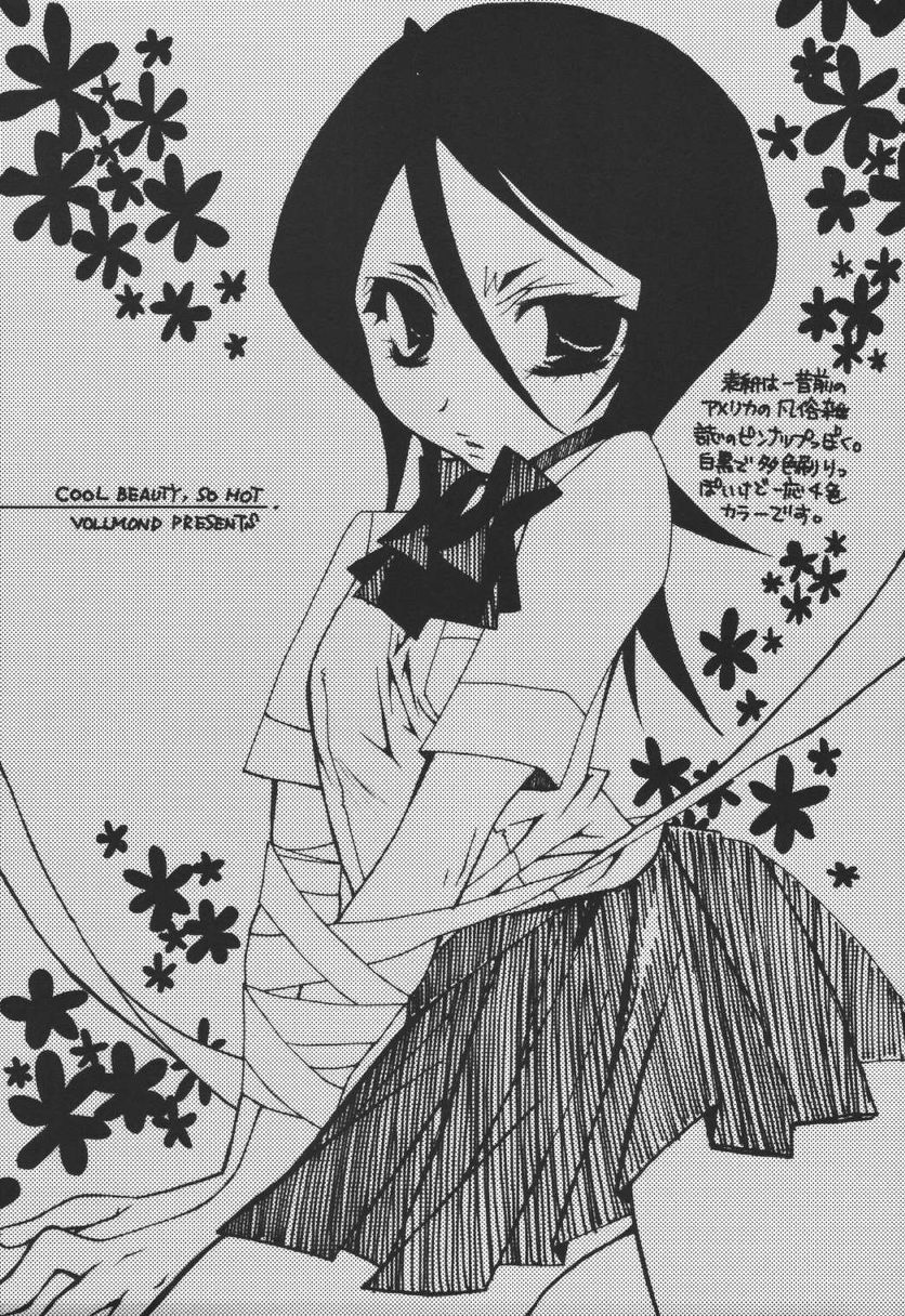 (C68) [VOLLMOND (Ruri)] COOL BEAUTY,SO HOT (Bleach) page 2 preview