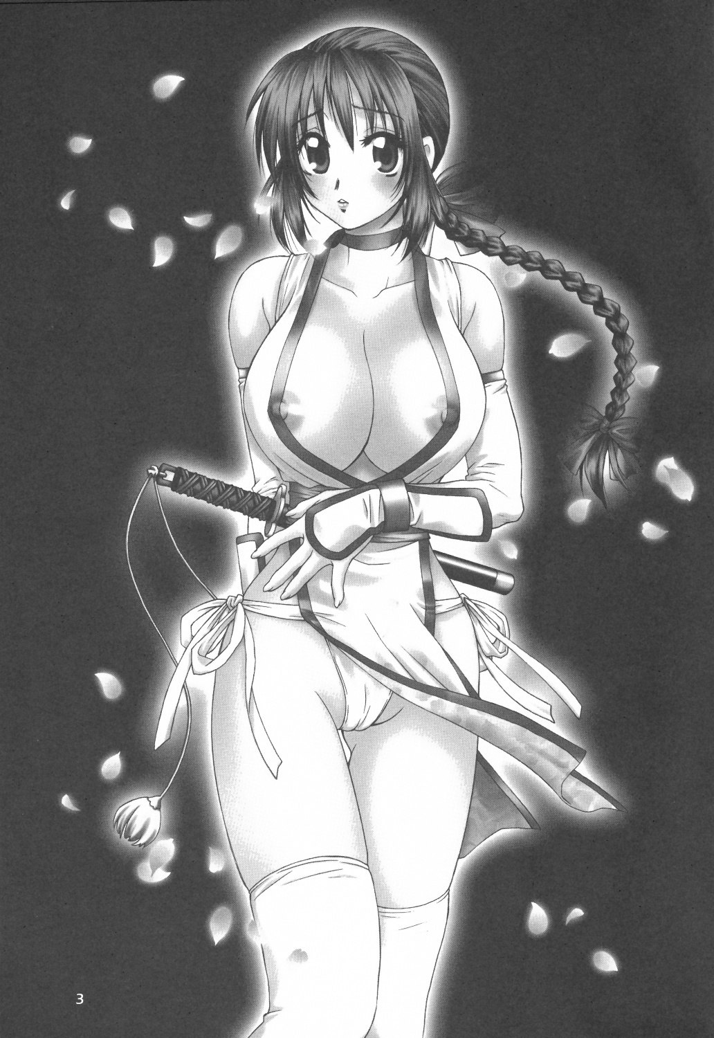 (C70) [Hanamaru Mugen Gym (Hyoujun Mai)] Sakura Chiru (Dead or Alive) page 2 preview