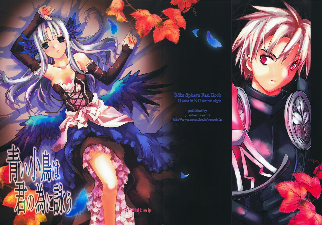(C74) [Gensou Kuukan (Mizuhara Mei)] Aoi Kotori wa Kimi no Tameni Utau (Odin Sphere) page 2 preview