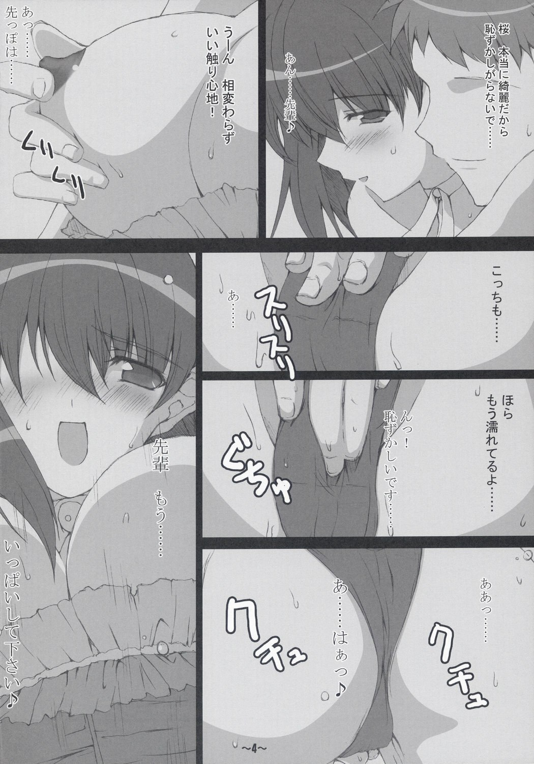 (C67) [Hard Flogs (Haoto Luna)] Hard Flogs vol.2 (Fate/stay night) page 5 preview
