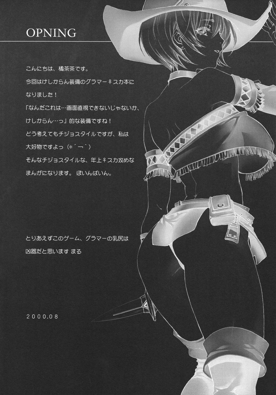 (C74) [Akai Tsubasa (Tachibana Chata)] LOVE FOOL.08 (Fantasy Earth ZERO) page 4 preview