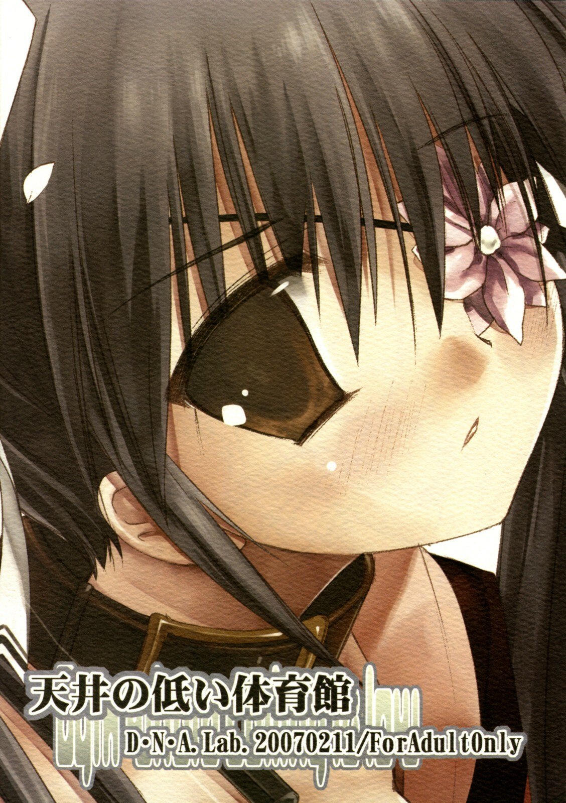 (SC34) [D.N.A.Lab. (Miyasu Risa)] Tenjou no Hikui Taiikukan (Various) page 12 preview