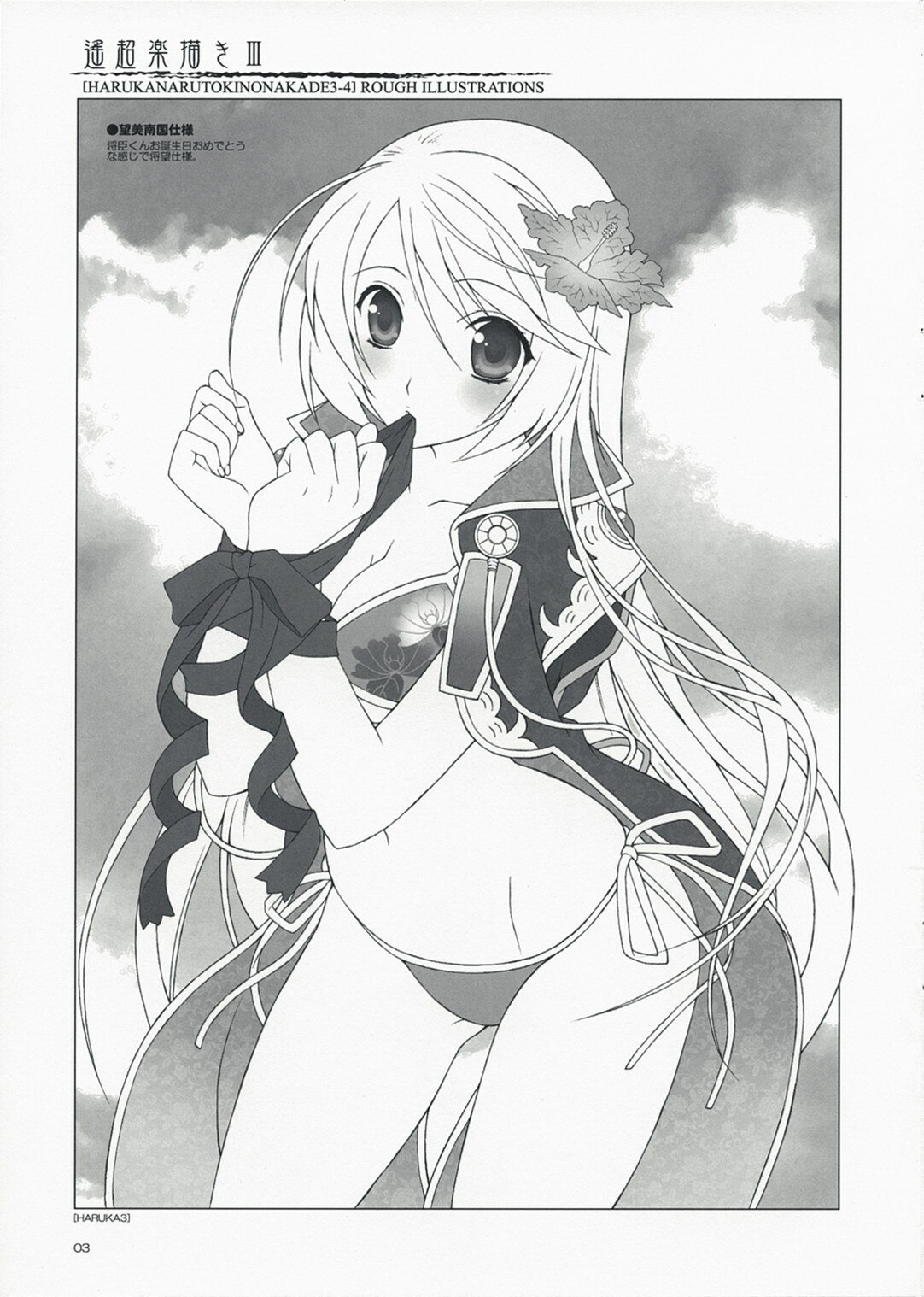 (C74) [Totsugeki Wolf (Yuhki Mitsuru)] Haruchou Rakugaki III (Harukanaru toki no naka de) page 3 preview