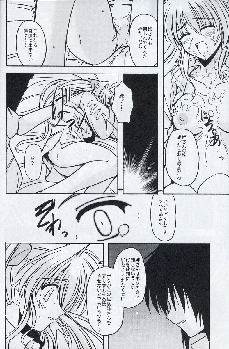[ETERNAL-ECLIPSE (Kitamiya Genbu)] BIRD CAGE (Tsubame Syndrome) page 11 preview