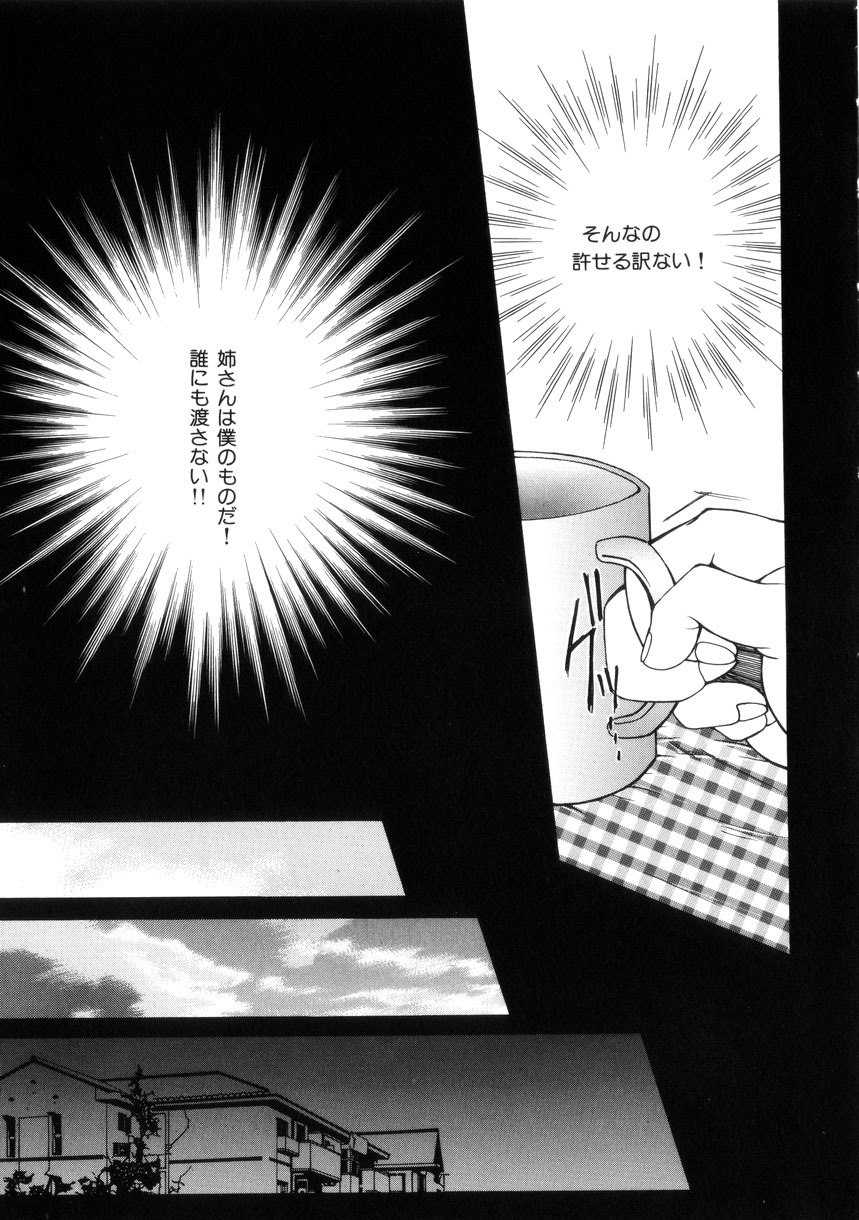 [Yasuhara Tsukasa] Junjou Karen - Purehearted and Vicious Love- page 12 preview
