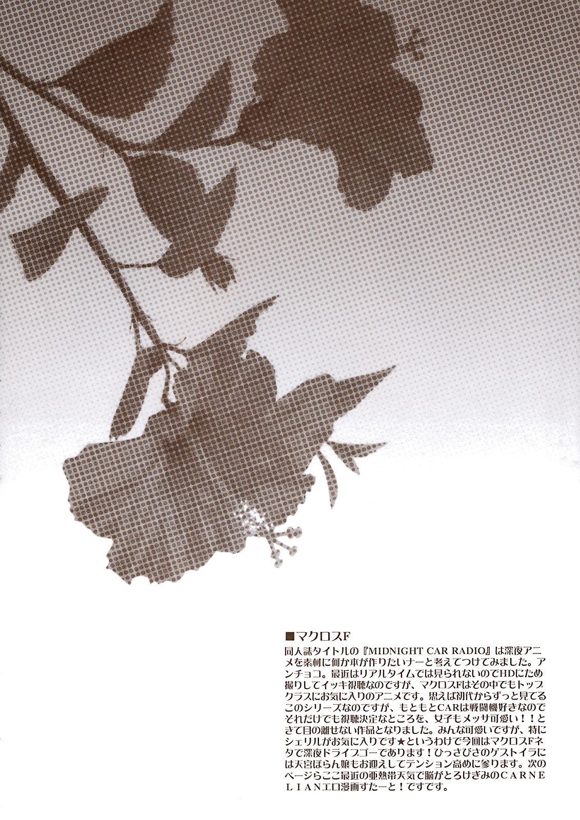 (C74) [CARNELIAN] MIDNIGHT CAR RADIO (Macross Frontier) [English] [SaHa] page 3 preview