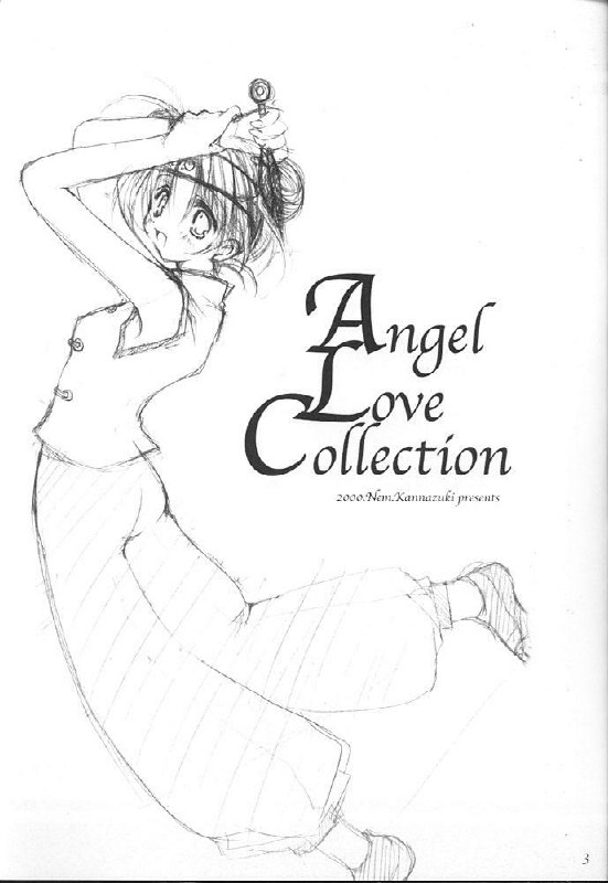 (C59) [A.L.C (Kannazuki Nem)] Angel Love Collection (Various) page 3 preview