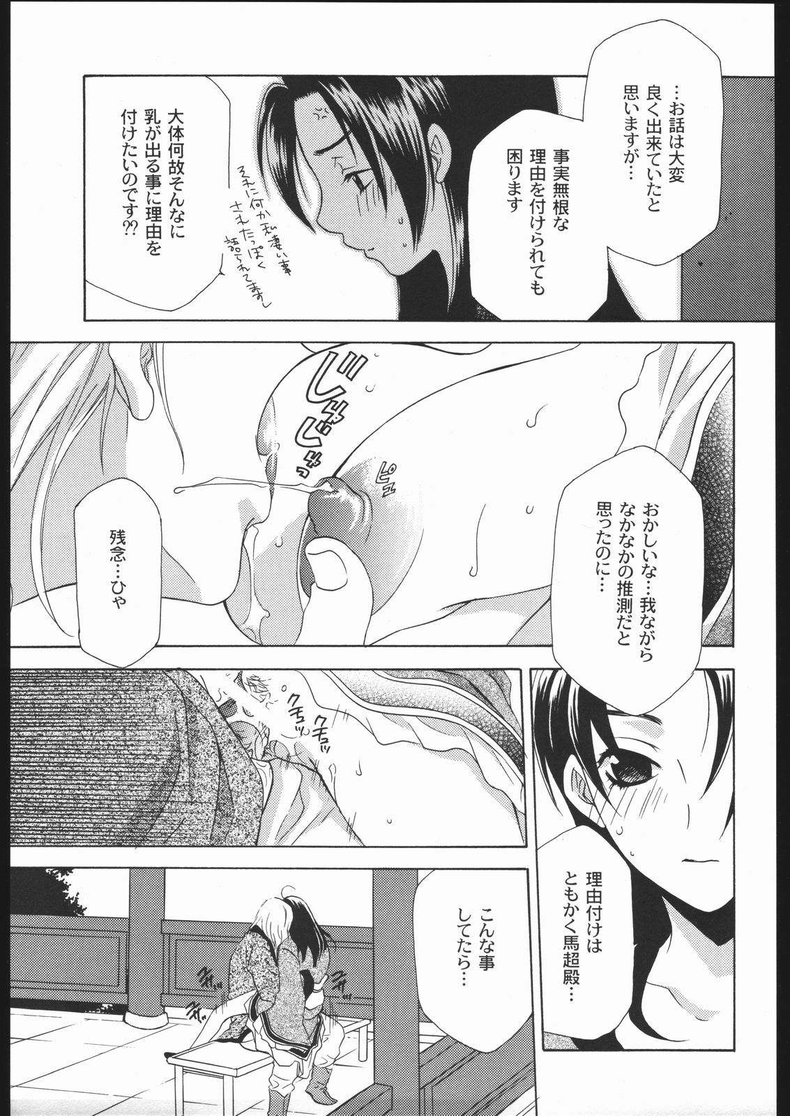 (C68) [Dark Water (Mikuni Saho, Tatsuse Yumino)] Seiryuu Ranbu 2 (Dynasty Warriors) page 8 preview