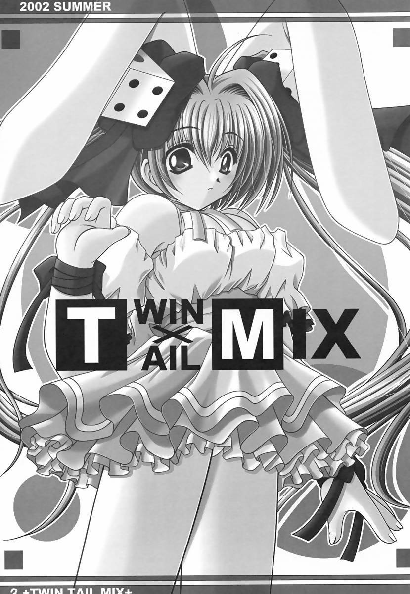 Twin Tail Mix (Various) page 2 preview