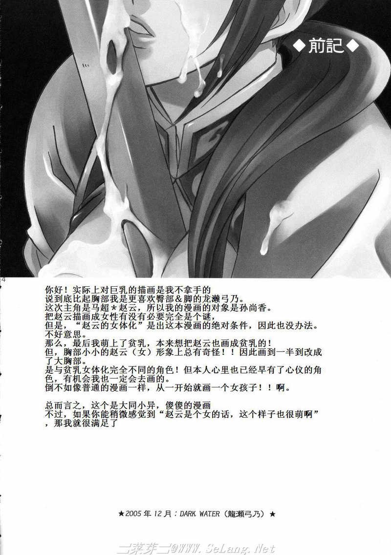 (C69) [Dark Water (Mikuni Saho, Tatsuse Yumino)] Seiryuu Ranbu 3 (Dynasty Warriors) [Chinese] page 3 preview