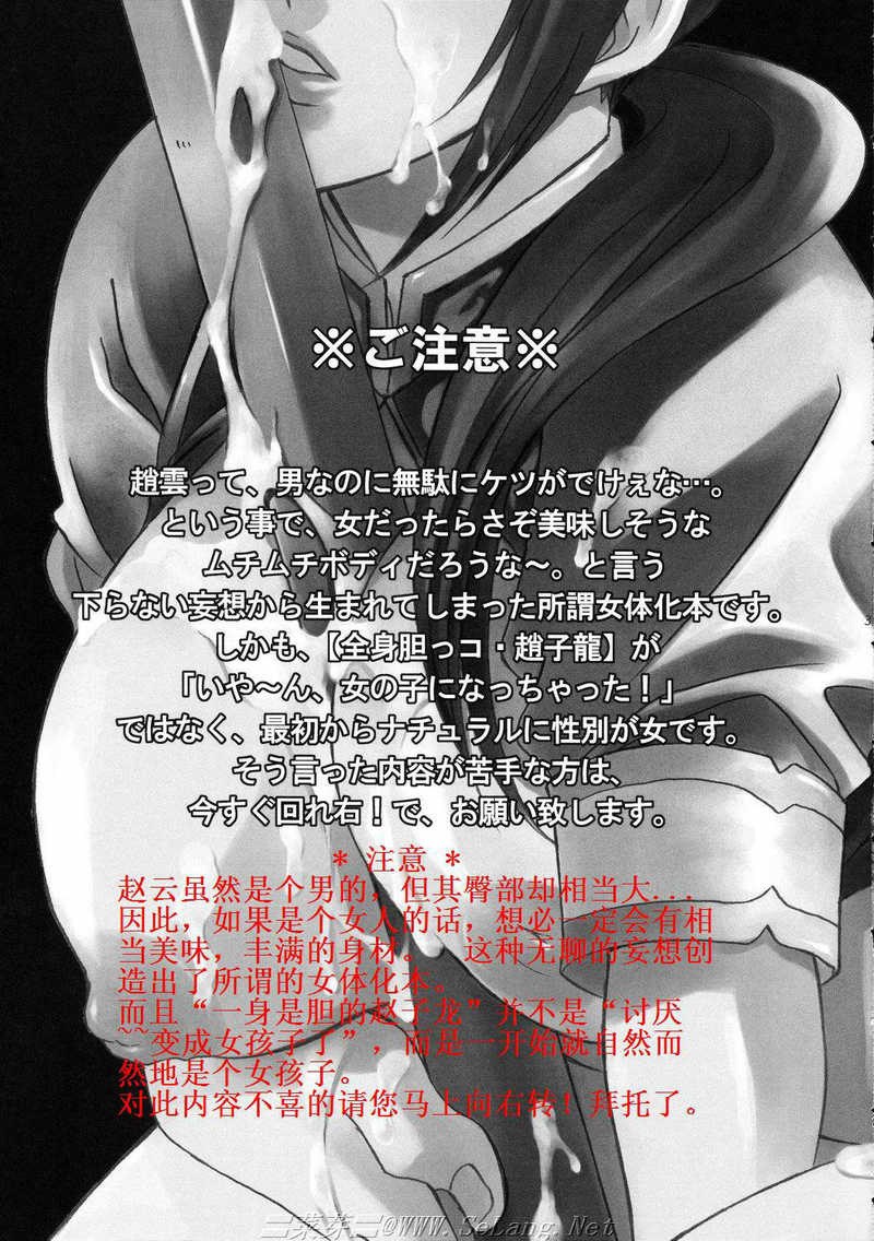 (C69) [Dark Water (Mikuni Saho, Tatsuse Yumino)] Seiryuu Ranbu 3 (Dynasty Warriors) [Chinese] page 2 preview