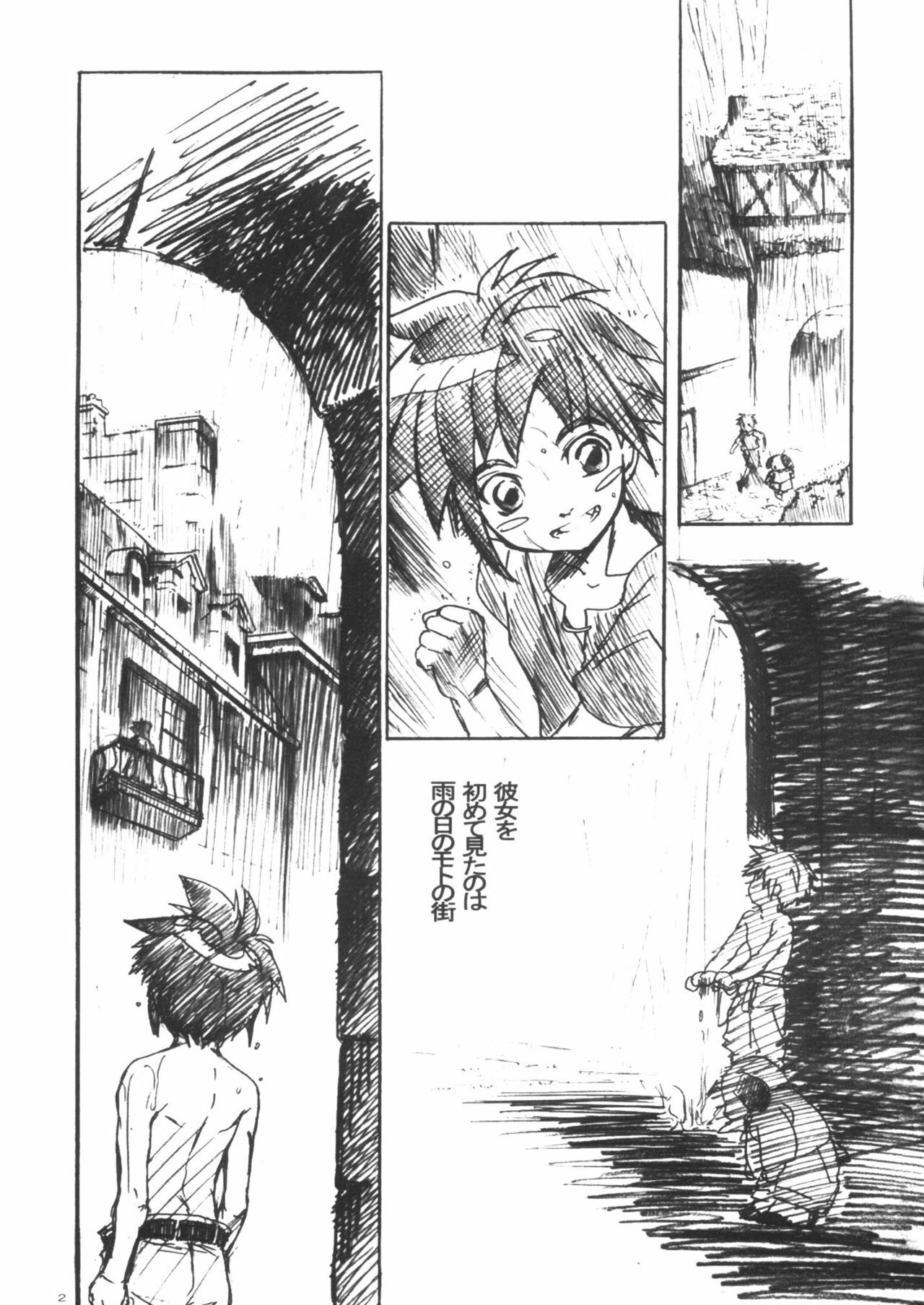 (CR37) [Toko-ya (Kitoen)] Yasashii Uta Kokoro no Junbigou (Breath Of Fire II) page 2 preview