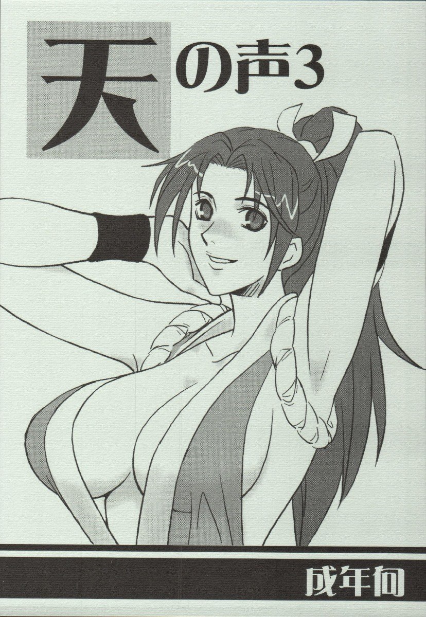 (C68) [Suginami Mougyuu Kai (SPY)] Ten no Koe 3 (King of FIghters)