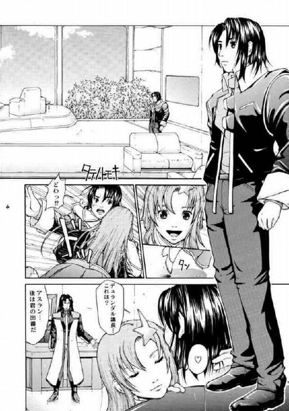 (CR37) [Hallenchi Planet (Tateno Tomoki)] TWT 3 (Gundam SEED DESTINY) page 5 preview