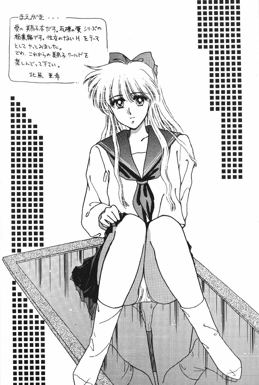 (C47) [Secret Society M (Kitahara Aki)] Minako (Bishoujo Senshi Sailor Moon) page 3 preview