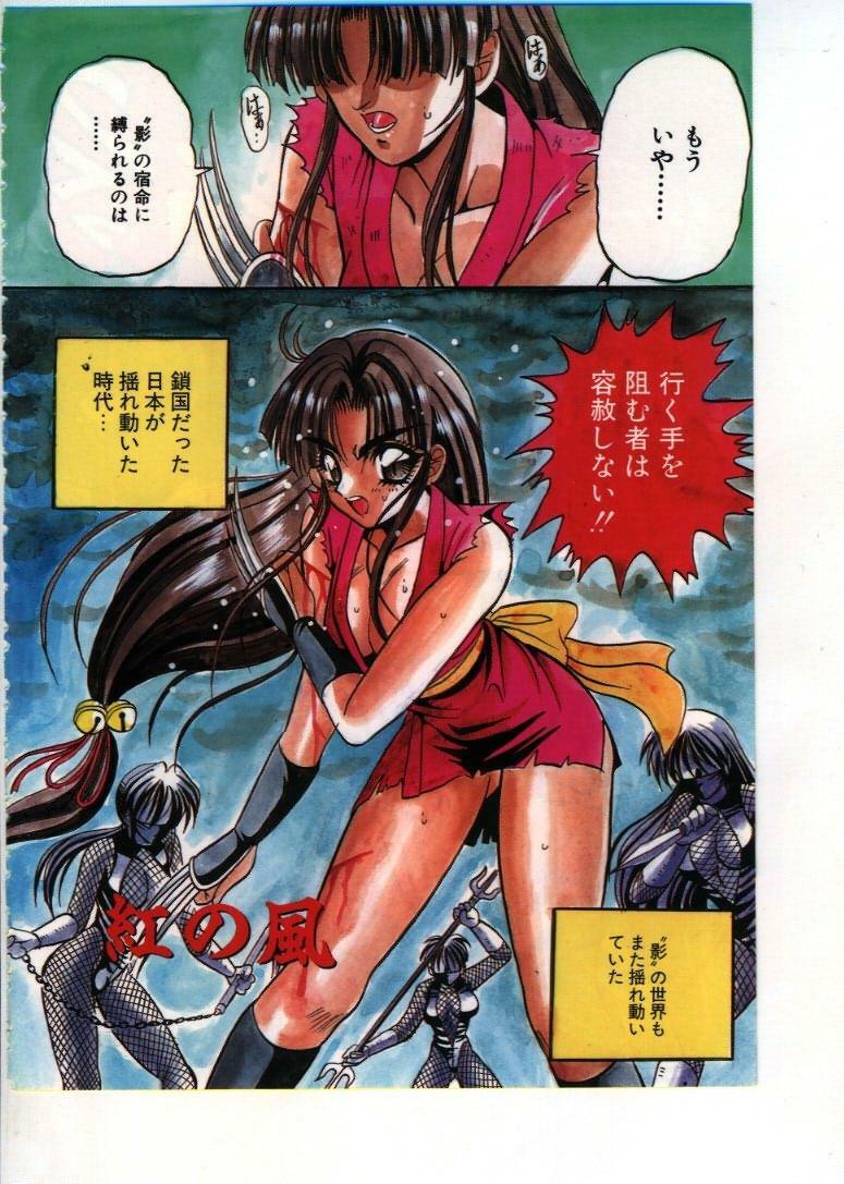 [Appleton] Fairy Paradise page 4 preview