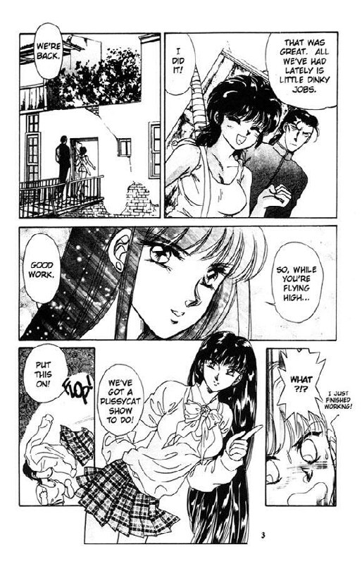 Midnight panther 6 page 4 preview