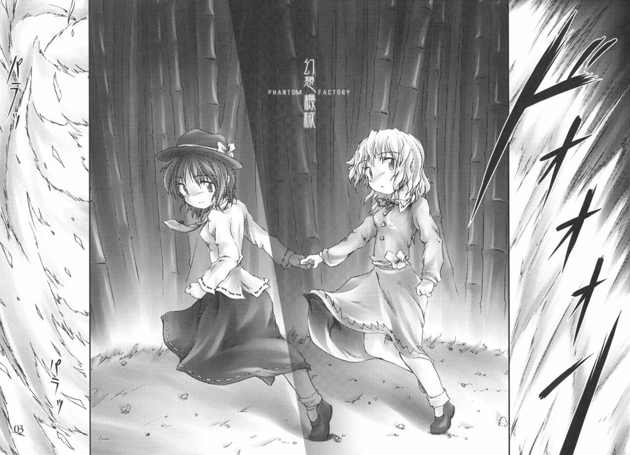 (C69) [NT CONFESS (Enu Kei)] Yuugen no Shigure, Eien no Hari. | Drizzle of Mystery, Beam of Eternity (Touhou Project) [English] [desudesu] page 2 preview