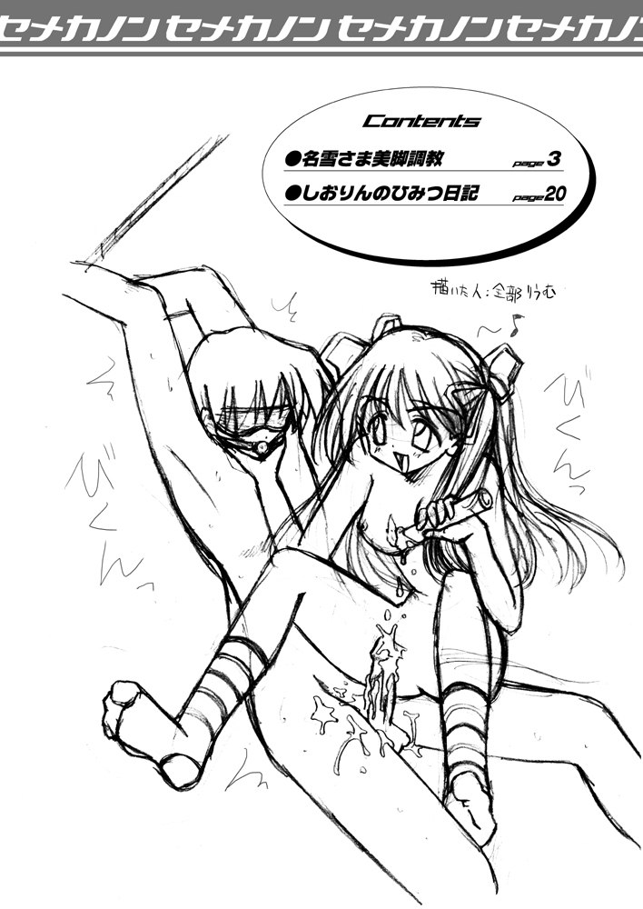 (C63) [MSIZE (Riumu)] Seme Kanon (Kanon) page 3 preview