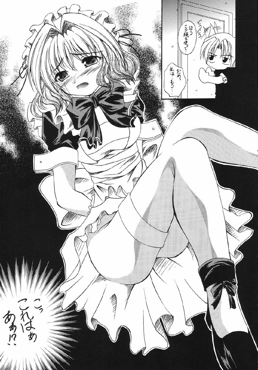 (SC25) [Red Ribbon Revenger (Various)] Kaze no Yousei 2 (Elemental Gelade) page 6 preview