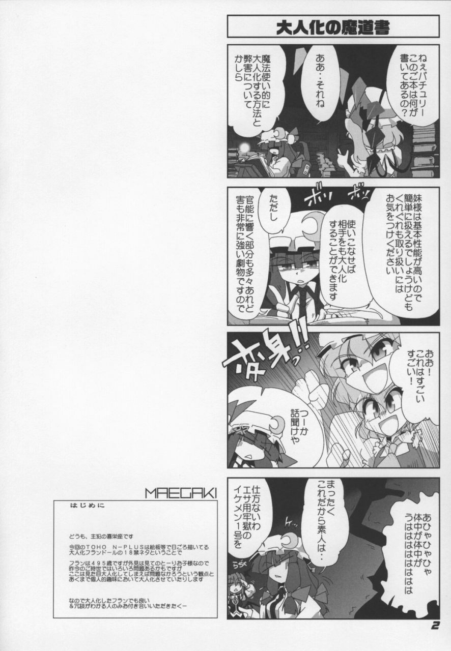 (SC38) [Kieyza cmp (Kieyza)] TOHO N+ Change to adult FLANDRE (Touhou Project) page 4 preview