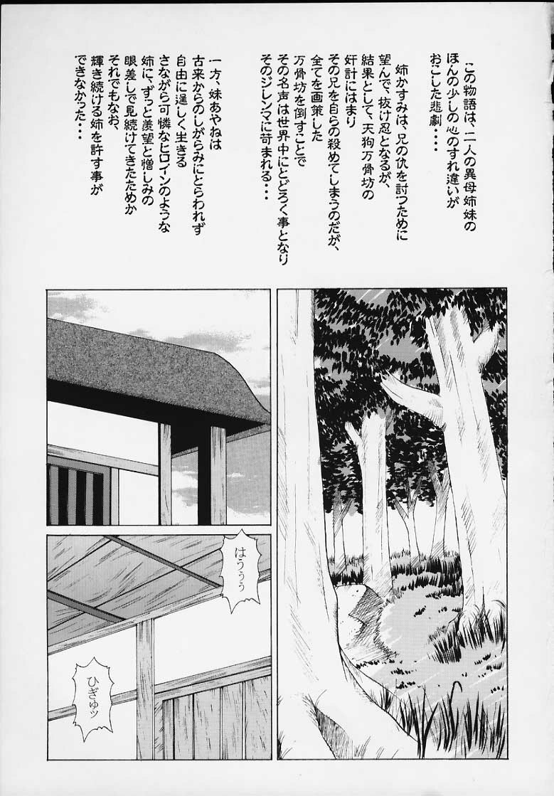 (C59) [Abura Katabura (Papipurin)] Kasumi Ringokukou (Dead or Alive) page 2 preview