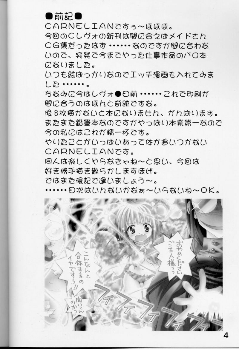 (CR28) [CARNELIAN] X Gee Mania (Machine Maiden) page 3 preview