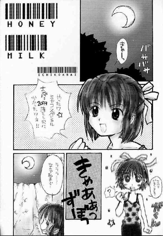 (C56) [AREYOUHAPPY? (Asai Ichiko)] Honeymilk (Comic Party, Kamikaze Kaitou Jeanne) page 3 preview