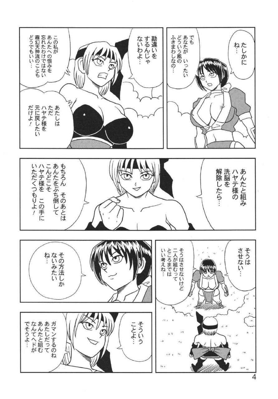 [Muchi Muchi 7 (Hikami Dan, Terada Zukeo)] Kasumi or Ayane (Dead or Alive) page 4 preview