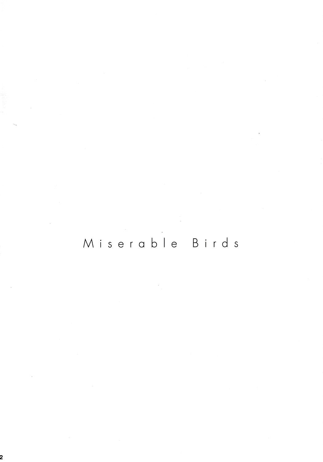 (C70) [EINSATZ GRUPPE (Charlie Nishinaka)] PRISONER 8 Miserable Birds (Gundam SEED DESTINY) [English] [YQII] page 3 preview