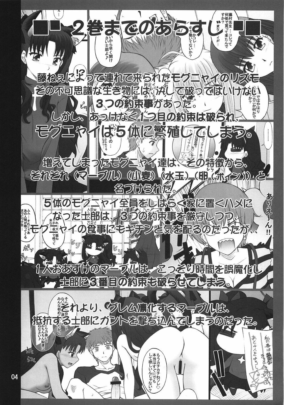 (C74) [PURIMOMO (Goyac)] Grem-Rin 3 (Fate/stay night) page 3 preview