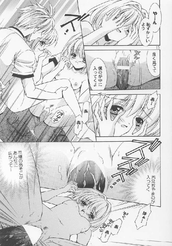 (C64) [Nekomiya (Nekomi Haruto)] Lemon Squash (Sister Princess) page 11 preview