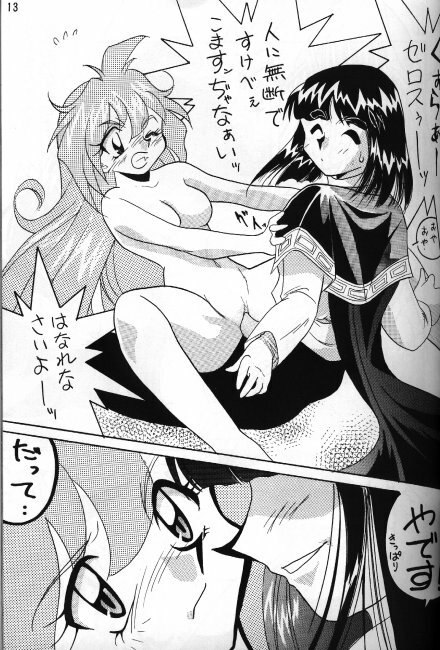 [Ginmomodou (Mita Satomi)] Slayers Adult 5 (Slayers) page 11 preview