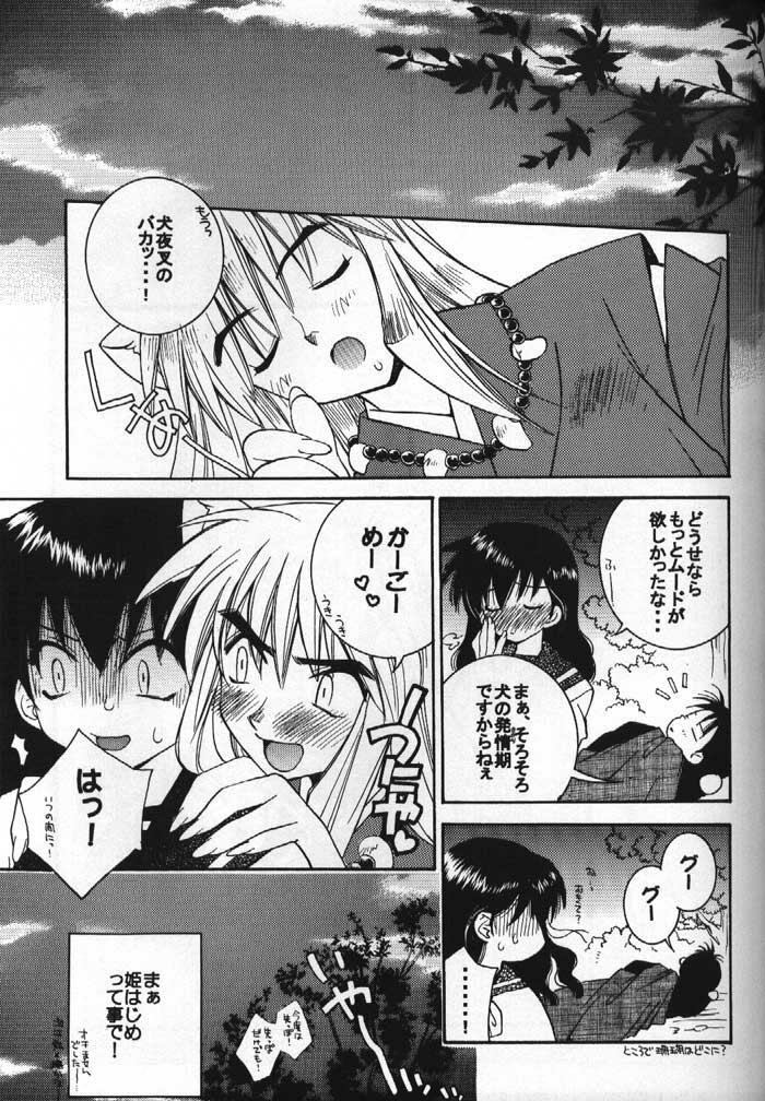 (C61) [Nekomarudou Honpo (Nekomaru)] Inuyasha Doku Hon (Inuyasha) page 10 preview