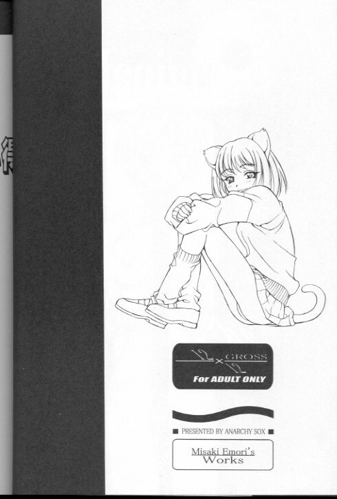 [Misaki Emori] 12X12(Gross) page 5 preview