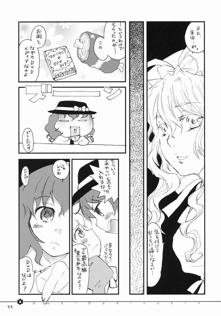 (C71)  Doki Doki Zukin vol. 1 (Touhou Project) page 9 preview