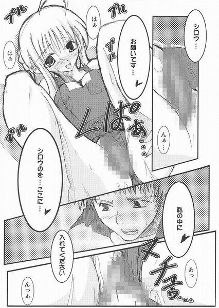 (C66) [TAROTS (Sawano Akira)] THE EMPEROR (Fate/stay night) page 11 preview