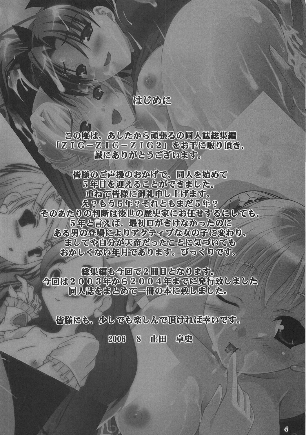 (C70)  ZIG-ZIG-ZIG 2 -2003~2004- (Various) page 3 preview