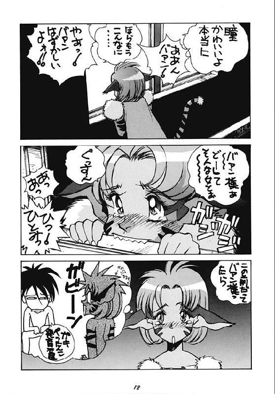 (C50) [Human High-Light Film (Various)] Human High-light Film V (Various) page 11 preview