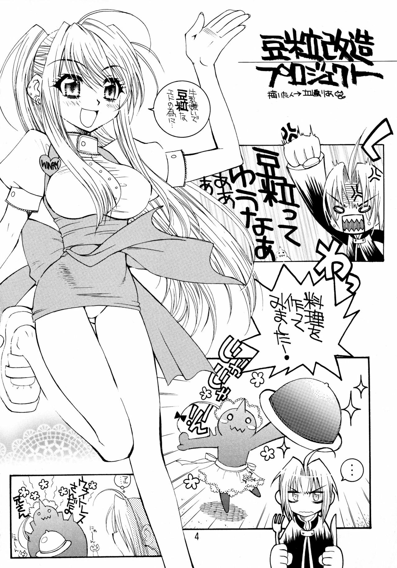 (C66) [SUBSONIC FACTOR (Tajima Ria)] The steady-state theory (Fullmetal Alchemist) page 3 preview