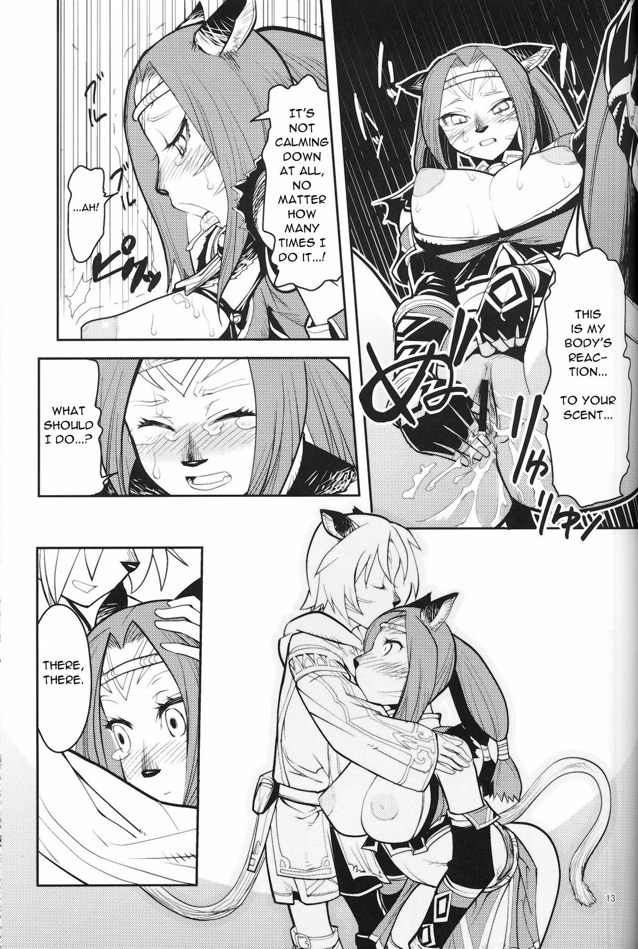 (C75) [Kuroshiki (Kurohiko)] Kuroshiki Vol. 7 (Final Fantasy XI) [English] page 12 preview
