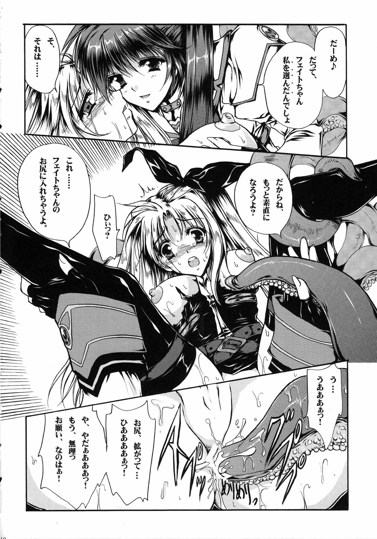 (Lyrical Magical 5) [Gin No Hoshitei (Tamiya Akito)] In Search Of Sanity (Mahou Shoujo Lyrical Nanoha) page 11 preview