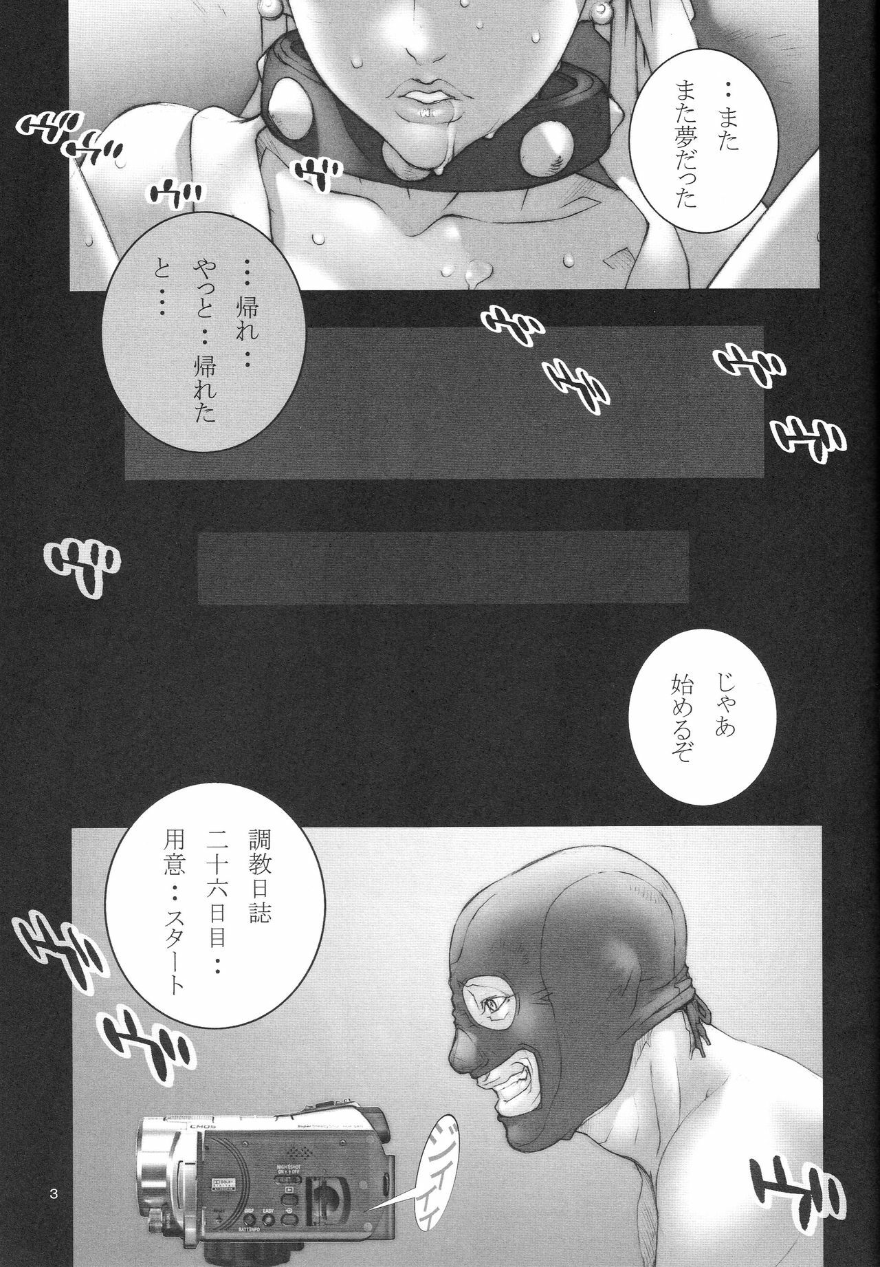 (C74) [P-collection (Nori-Haru)] Haru Urara (Street Fighter) page 4 preview
