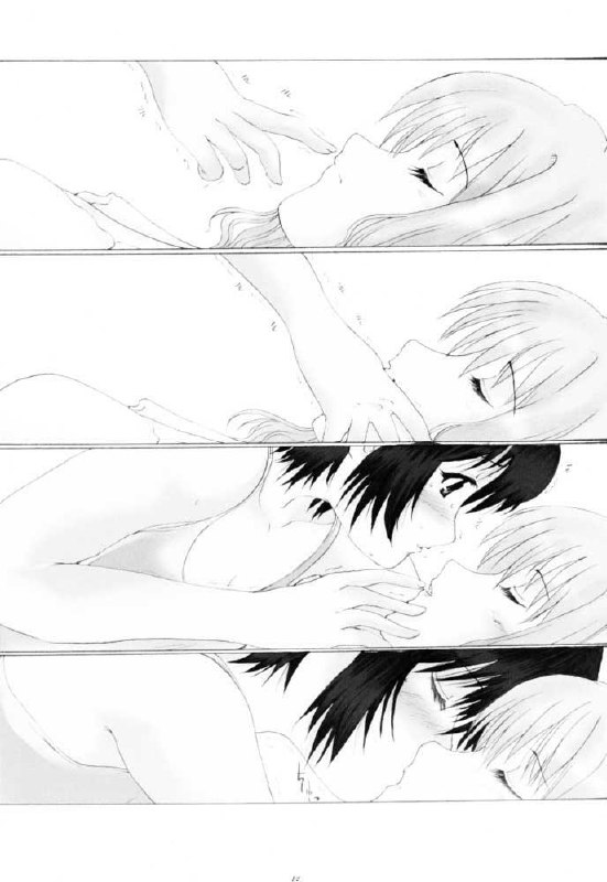 (SC13) [Neko to Hato (Hatoya)] Amour version NOIR (Noir) page 11 preview