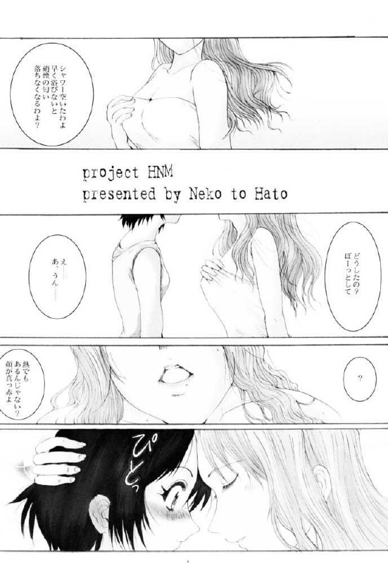 (SC13) [Neko to Hato (Hatoya)] Amour version NOIR (Noir) page 3 preview