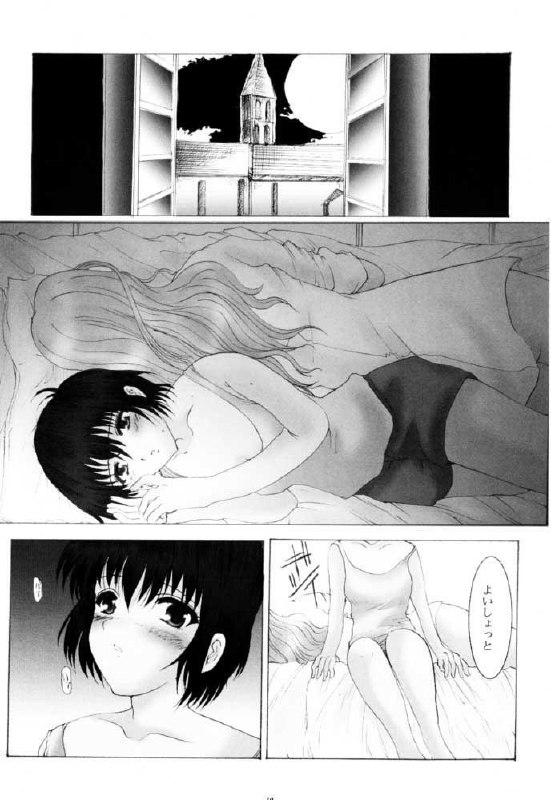 (SC13) [Neko to Hato (Hatoya)] Amour version NOIR (Noir) page 9 preview