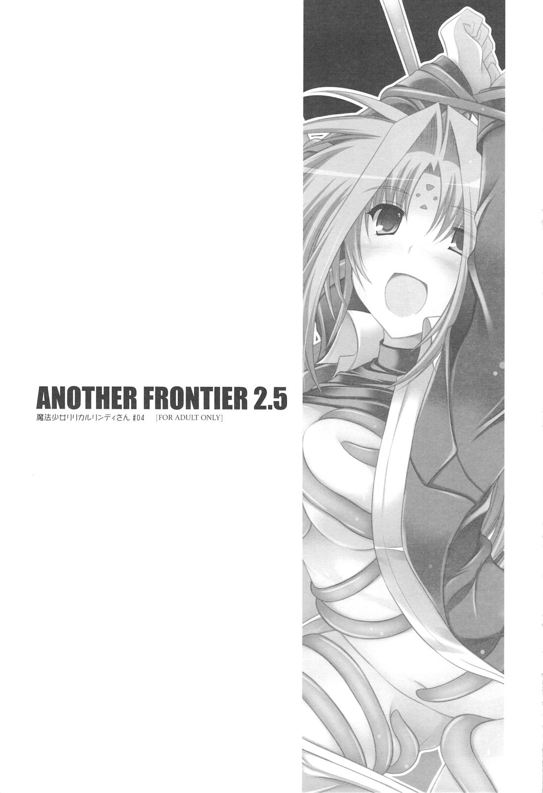 (C75) [ELHEART'S (Ibuki Pon)] ANOTHER FRONTIER 2.5 Mahou Shoujo Lyrical Lindy san #04 (Mahou Shoujo Lyrical Nanoha) page 2 preview