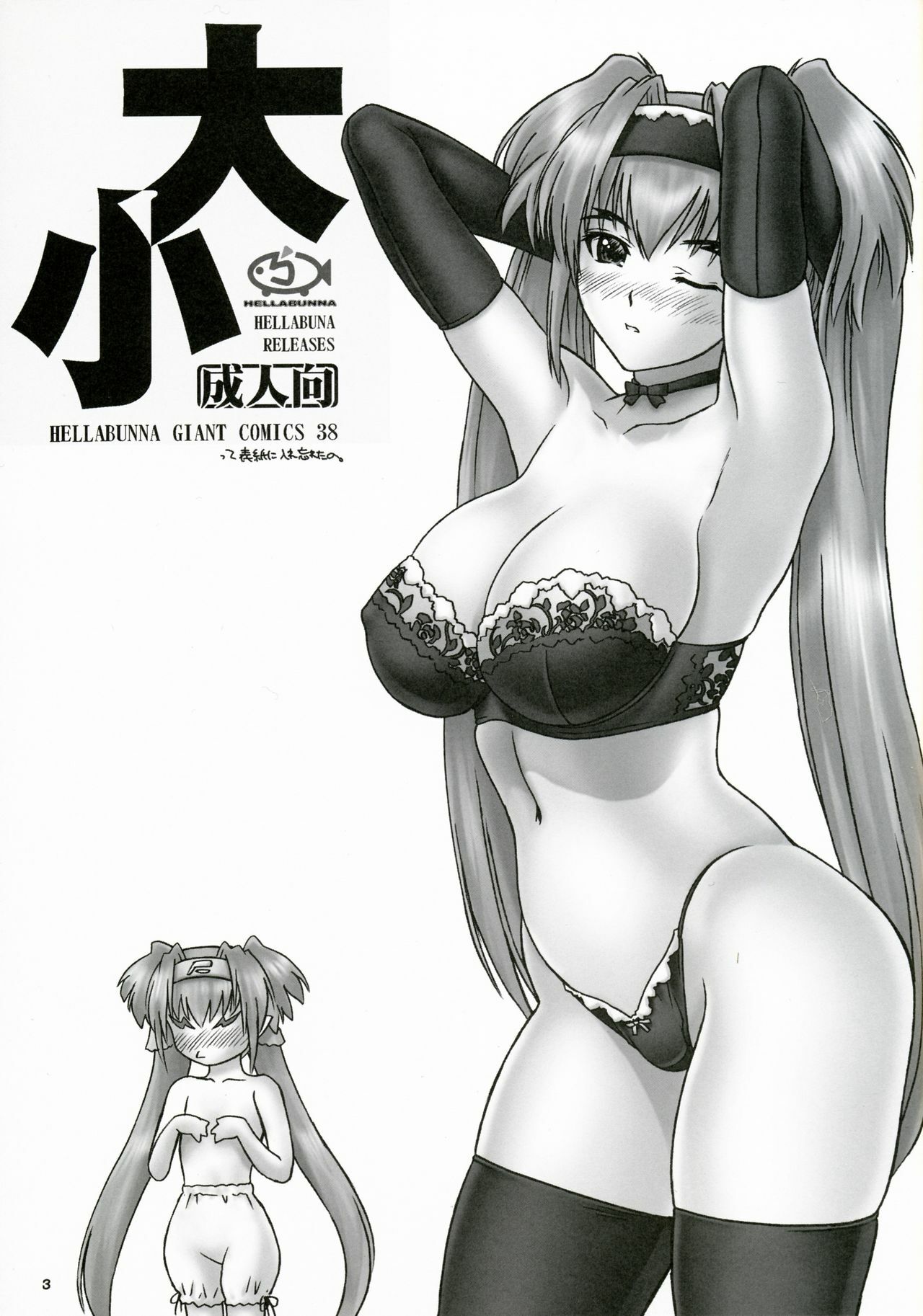 (C74) [Hellabunna (Iruma Kamiri)] Daishou | Large and Small (Macross Frontier) page 2 preview