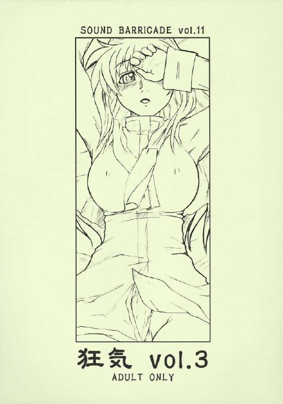 (CSP4) [Hanjuku Yude Tamago (Canadazin)] SOUND BARRICADE vol. 11 - Kyouki vol. 3 (Kanon)