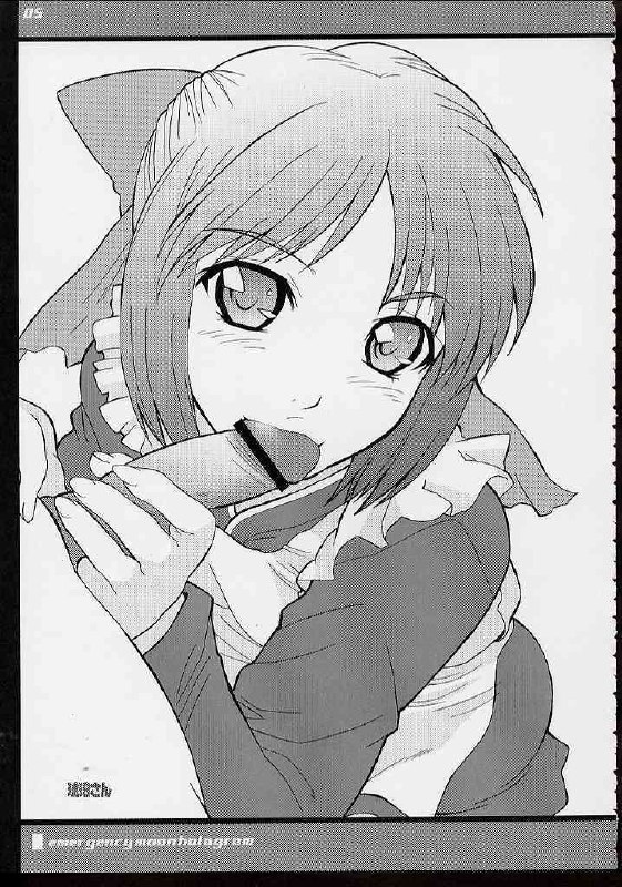 (C62) [UNI MATRIX ONE (Isou Doubaku)] E.M.H - emergency moon hologram (Tsukihime) page 4 preview